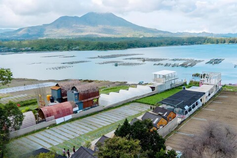 유카빈 킨타마니 - 성인 전용 딜 전용