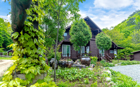 인제 쥐와돼지펜션