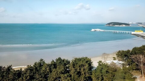 솔밭 비치 펜션