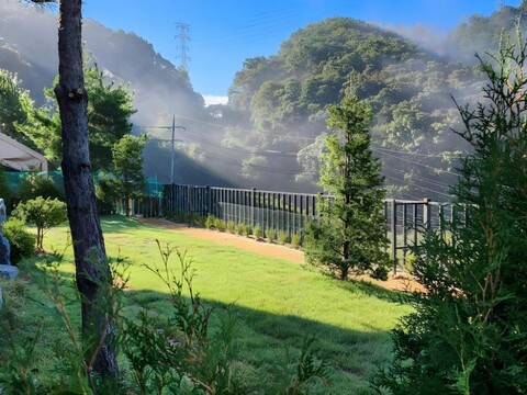 연천 포리하우스 애견펜션