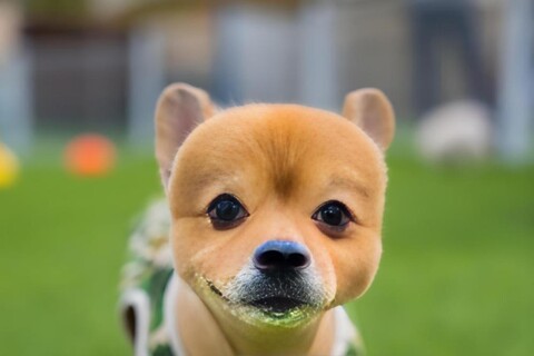 포천 프렌즈 키즈 앤 스파 빌리지