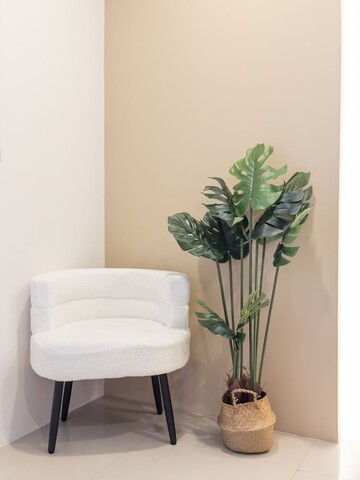 더 씨스루 코란