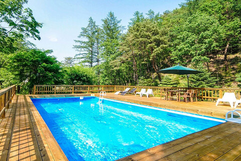 원주 편백나무숲펜션