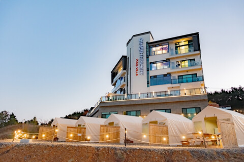 여수 스테이 유