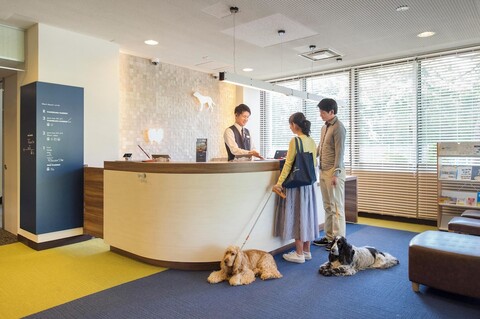 완완 파라다이스 프리미어 야마나카코