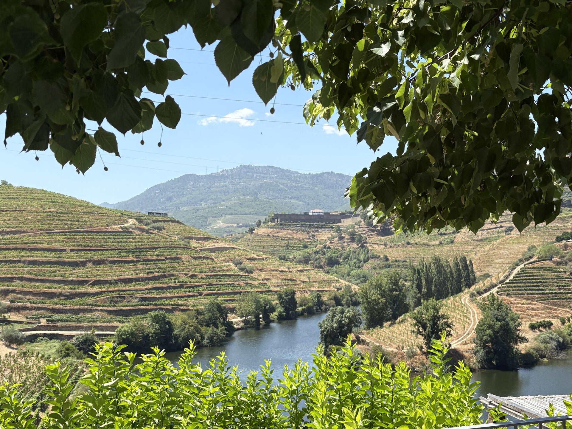 여행 상품 이미지