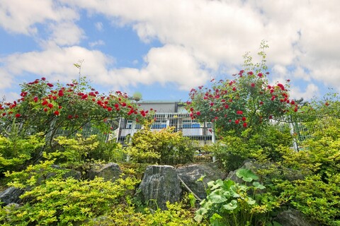 화성 다소니펜션