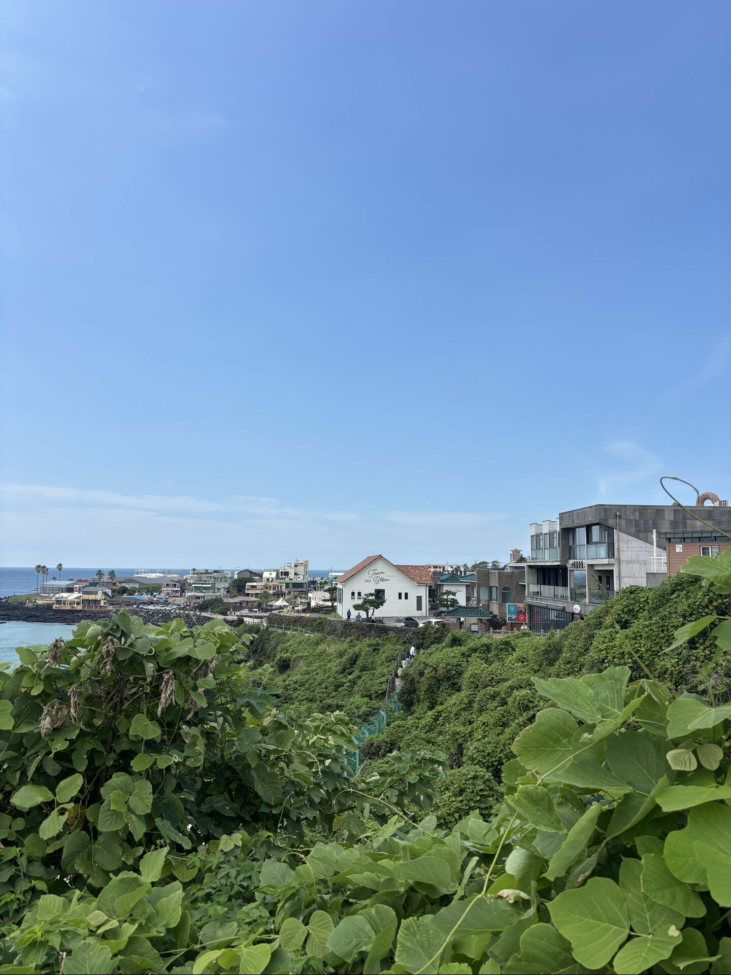 후기 사진
