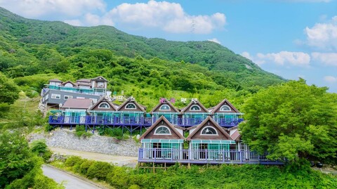 알프스 관광 펜션