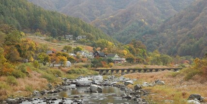 인제 아로니아펜션