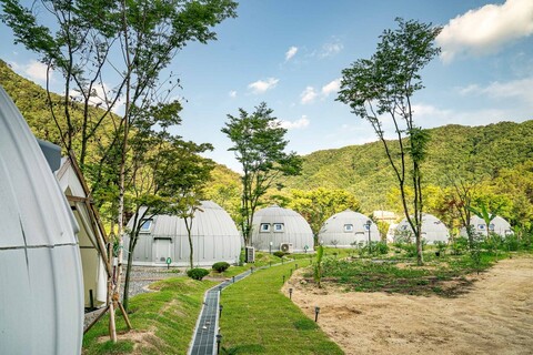 양평 에코이글루글램핑(열대식물원)