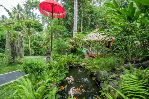 화이트 로터스 오아시스