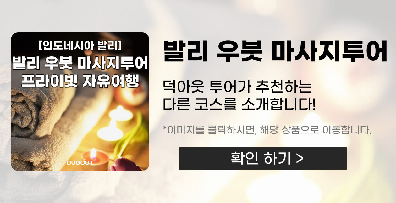 아융강 래프팅 프라이빗 투어 I 레프팅, ATV 콤보, 몽키 포레스트 [한국어 선택]]  상세 이미지 3