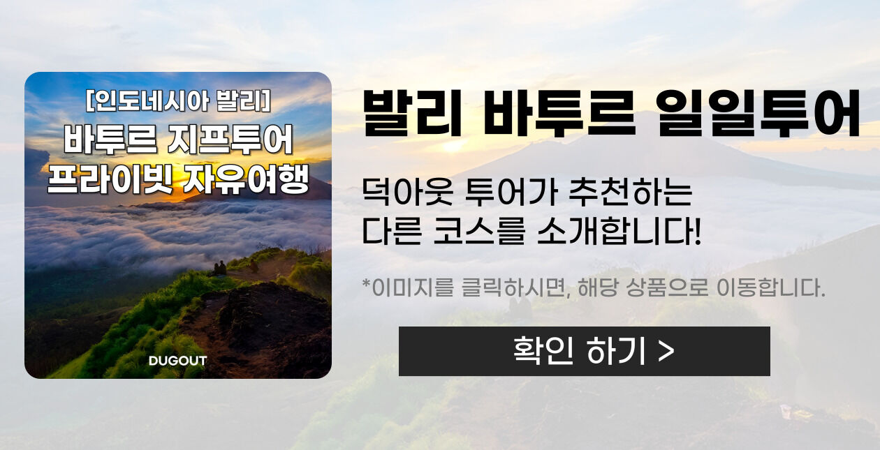 아융강 래프팅 프라이빗 투어 I 레프팅, ATV 콤보, 몽키 포레스트 [한국어 선택]]  상세 이미지 5