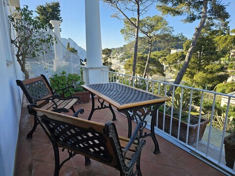 더 스페니시 앳 카프리