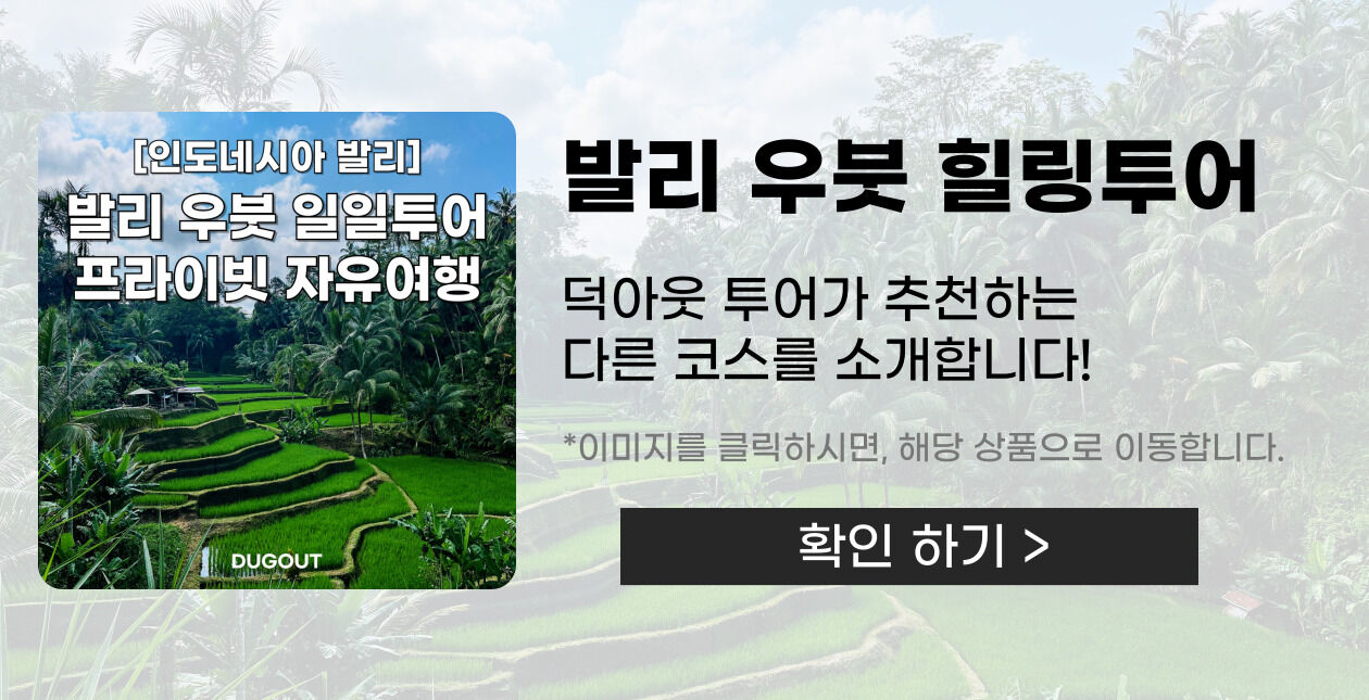 아융강 래프팅 프라이빗 투어 I 레프팅, ATV 콤보, 몽키 포레스트 [한국어 선택]]  상세 이미지 4