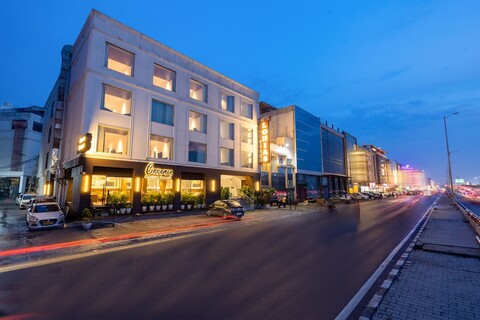 아치 더 로히아스