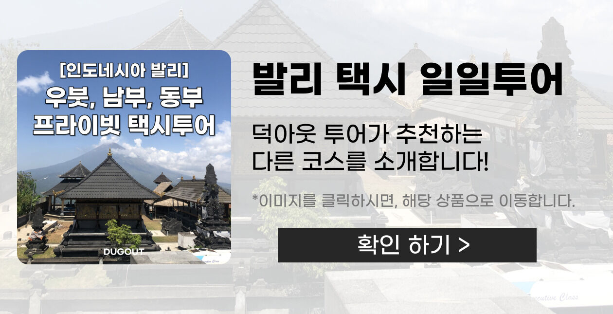 아융강 래프팅 프라이빗 투어 I 레프팅, ATV 콤보, 몽키 포레스트 [한국어 선택]]  상세 이미지 6