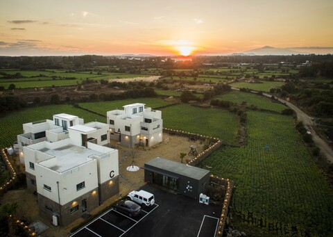 서귀포 성산에서