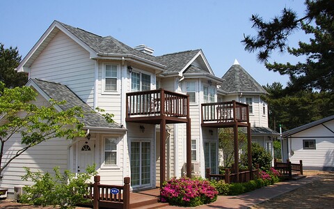 태안 솔모루펜션