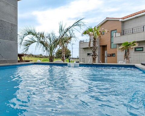 제주 풀스토리6