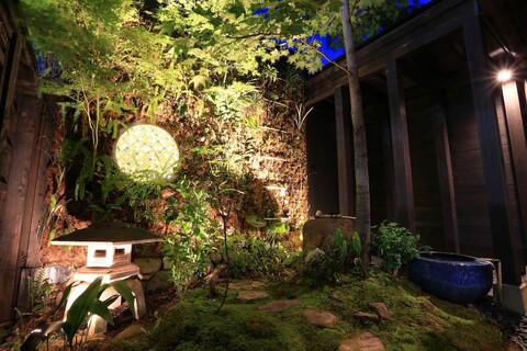 우사기 노 네도코