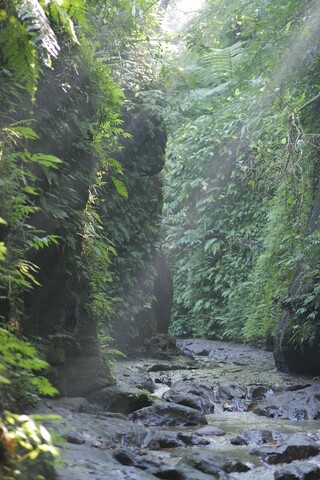 프라마나 기리 쿠수마