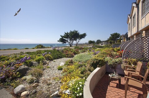 펠리칸 인 & 스위트