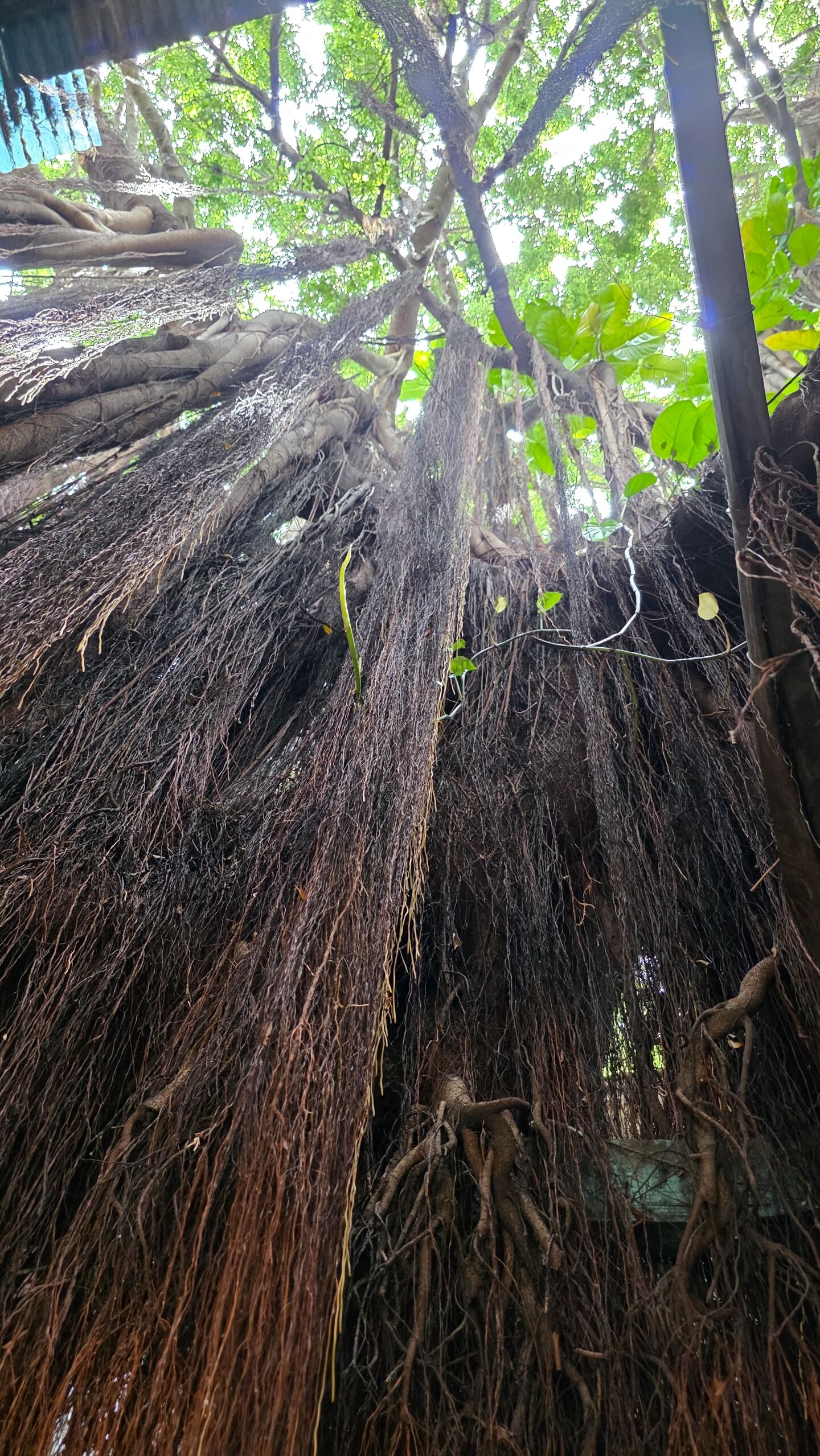 후기 사진