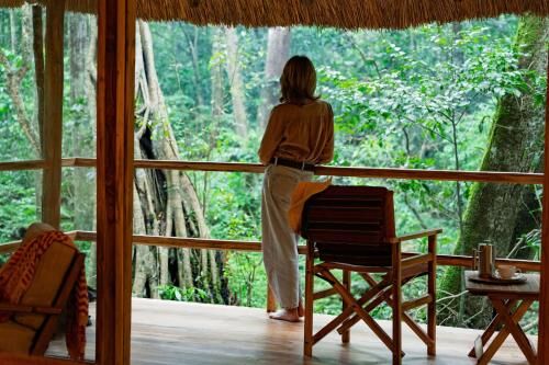 Koroi Forest Camp-i