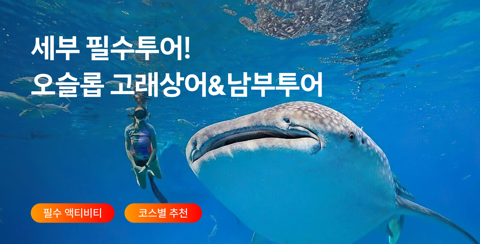 pc_ 오슬롭 랜딩 상단.png