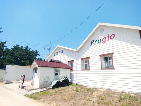 태안 몽산포 푸르지오펜션