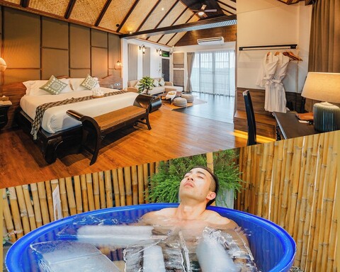 TH 디스트릭트의 THEE 카샤타른