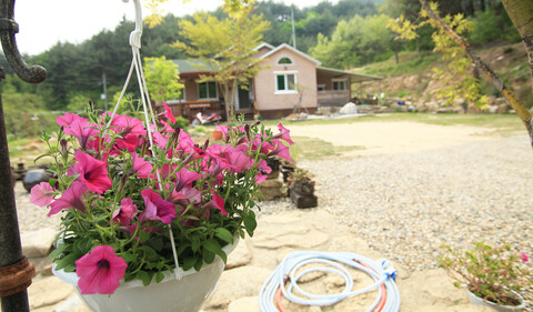 울진 굴구지정원