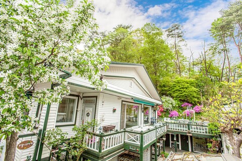 양양 오색로뎀나무아래