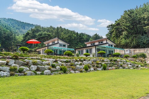 울진 바다와숲펜션