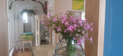 제주 칸나하우스펜션