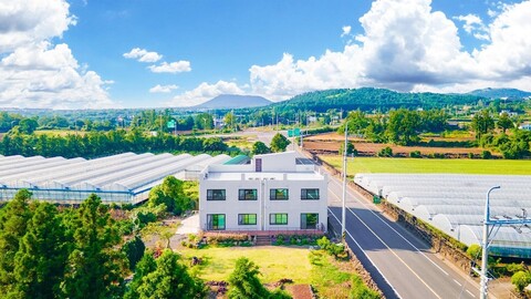 제주 춘자네 펜션