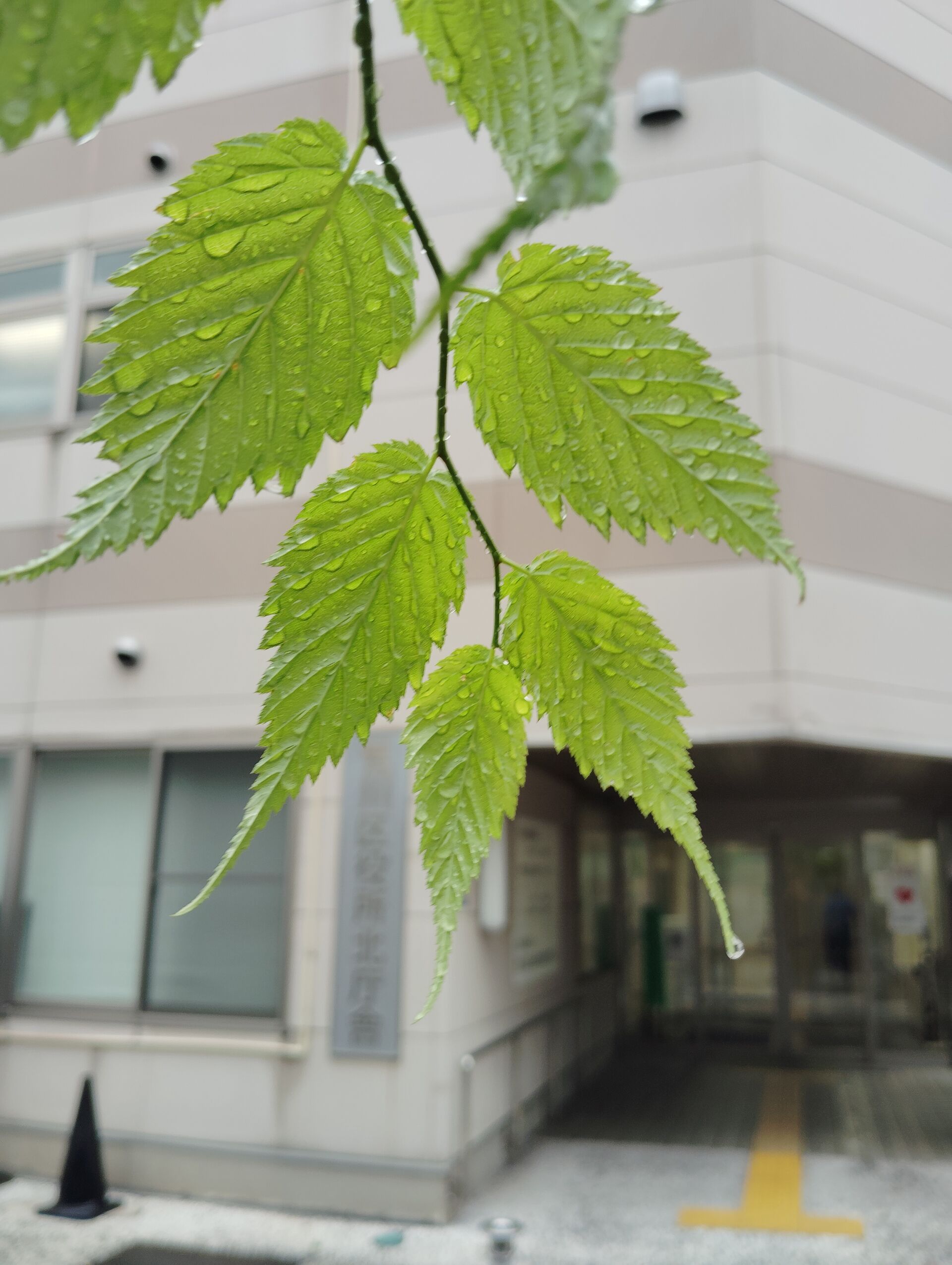 투어·티켓 상품 상세 이미지 6