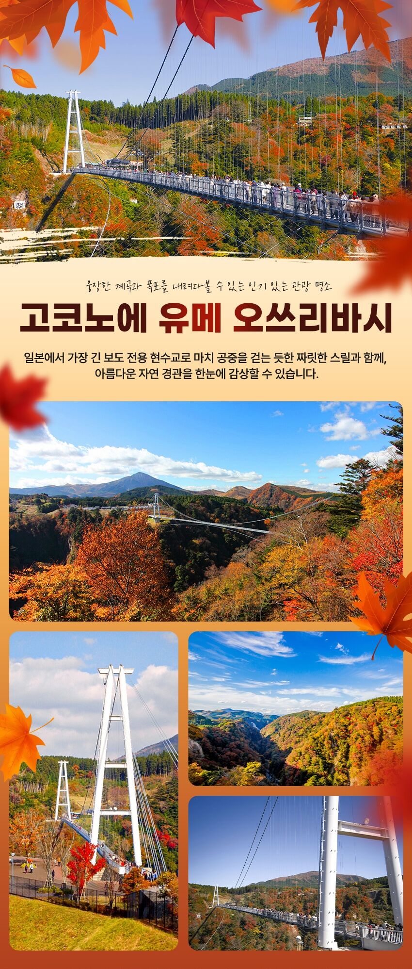 투어·티켓 상품 상세 이미지 5