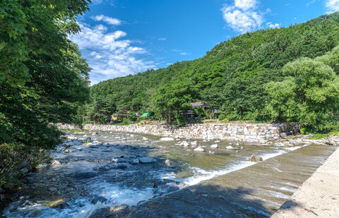 고성 소똥령가는길