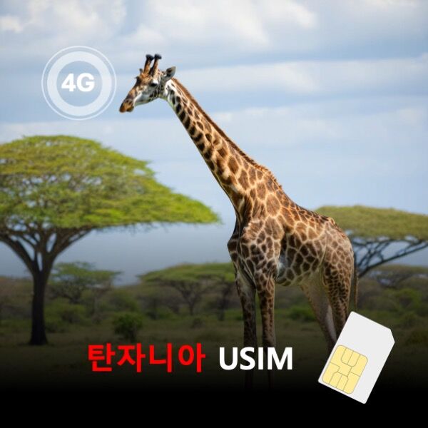 [유심칩] 탄자니아 유심 USIM 데이터 매일 무제한 이심통 | 무료배송-i