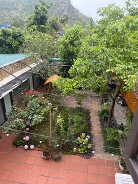 Euphoria Cat Ba Homestay