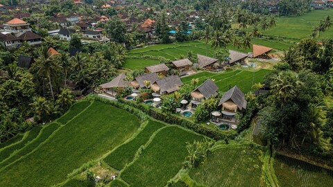 더 풀루 빌라, 젠유인호스트 제공
