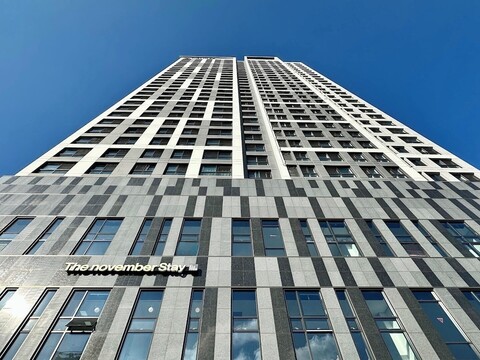 더노벰버스테이 구리