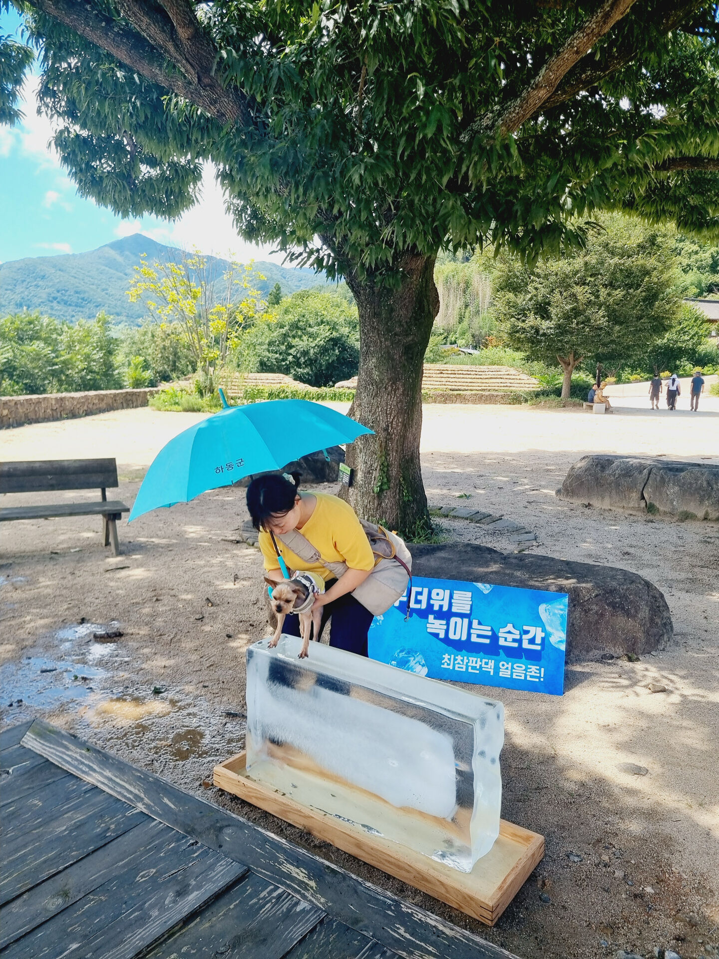 후기 사진