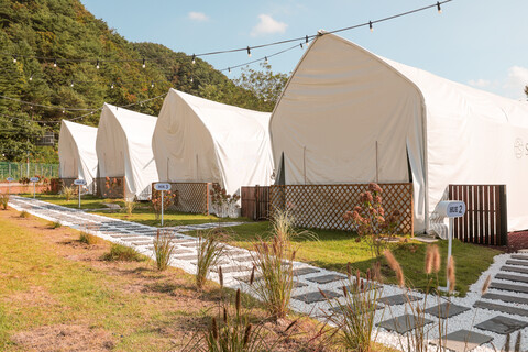 홍천 풀스테이스테이펫펜션