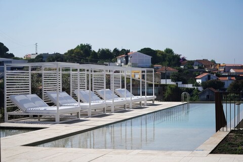 The Lince Santa Clara