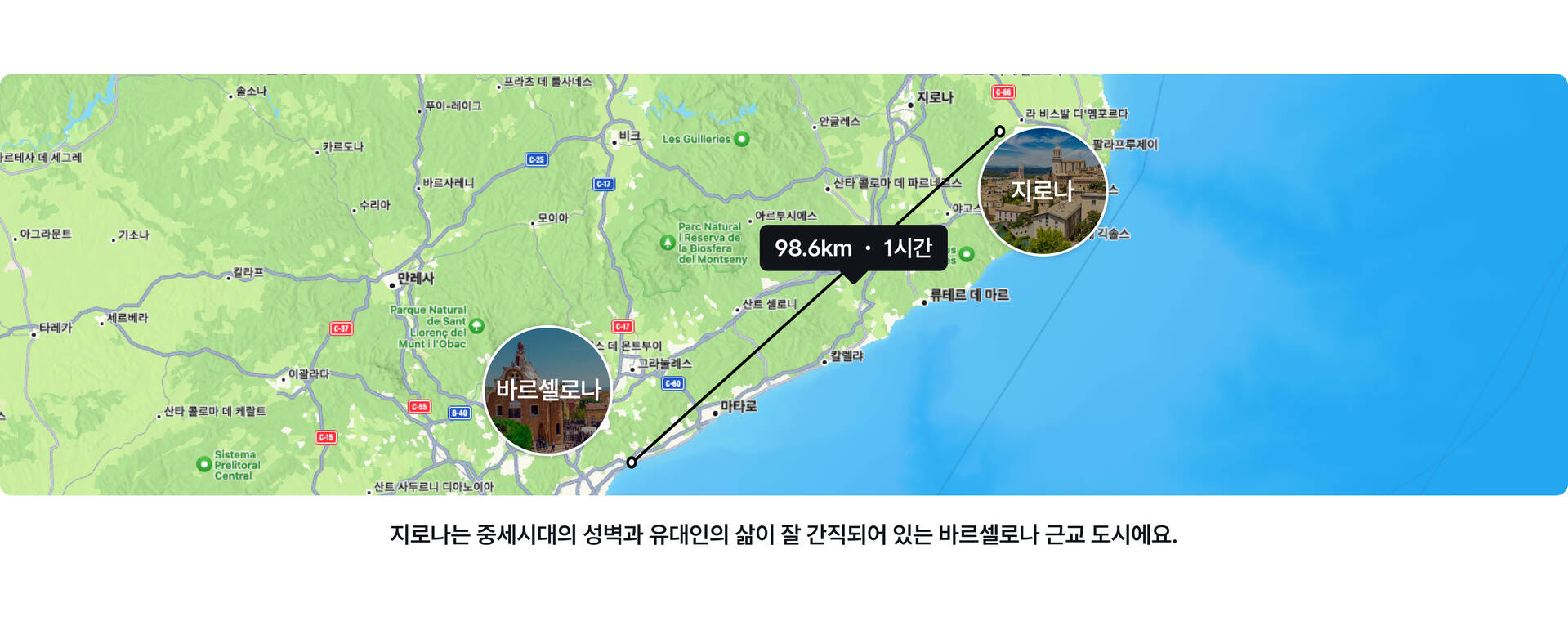 큰 버전.jpg