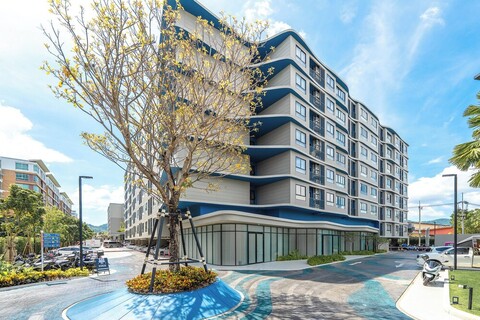 스타일리시 콘도, 수영장 이용 가능, C175